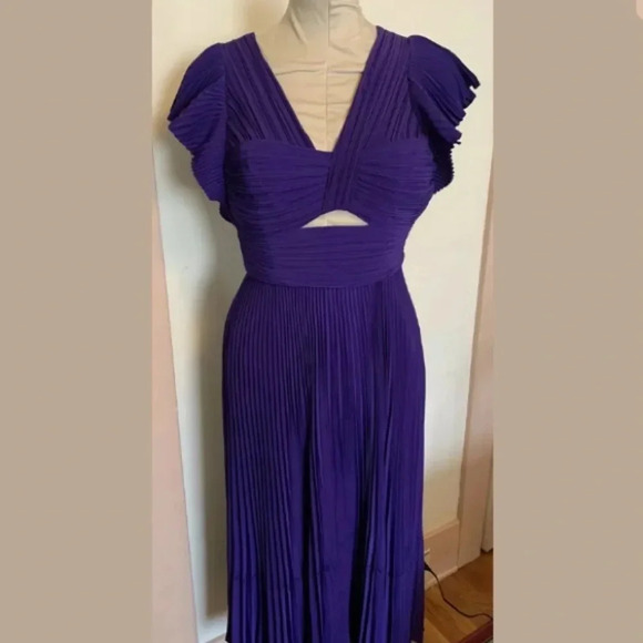 A.L.C. NWT Sorrento Accordion Pleated Midi Dress - Picture 6 of 10